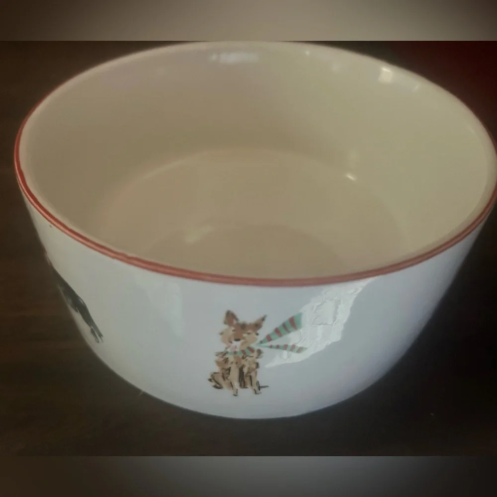 Ceramic Dog Bowl by beth briggs 2023 Christmas Edition